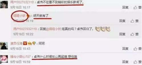 卓伟的爆料娱乐圈恋爱,卓伟爆料背后的情感纠葛  第1张